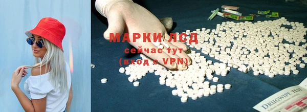 гидра Пестово