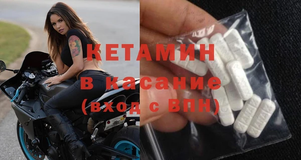 сатива Сосновка