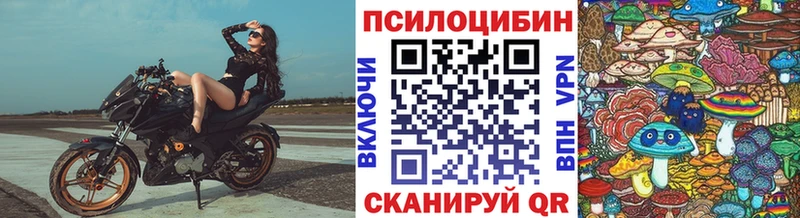 Галлюциногенные грибы мицелий  Рузаевка 
